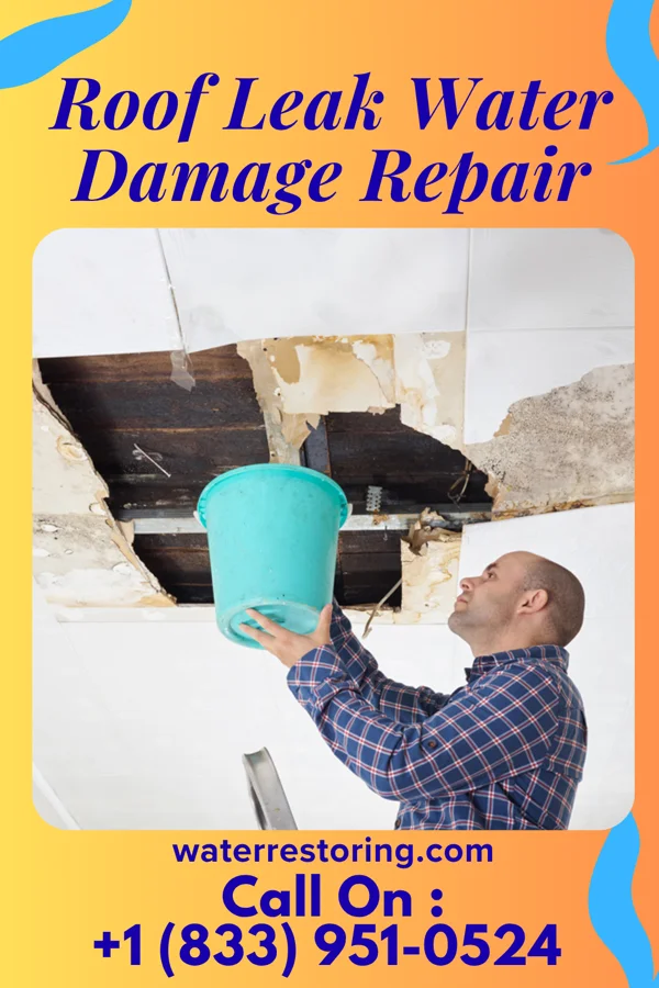 Roof Leak Water Damage Repair in Woodhull, IL